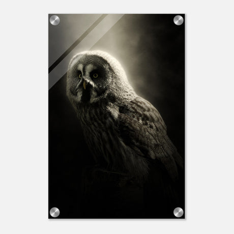  animal kingdom wall art owl