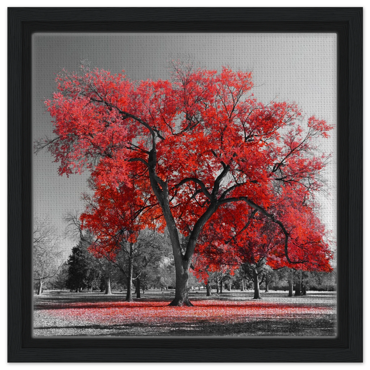 crimson crown monochrome autumn elegance wall art print50x50 cm / 20x20″Fine Art Poster