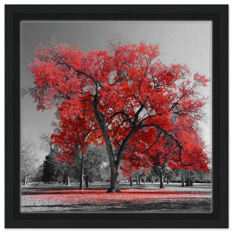 crimson crown monochrome autumn elegance wall art print50x50 cm / 20x20″Fine Art Poster