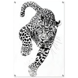  nature wall art wildlife leopard