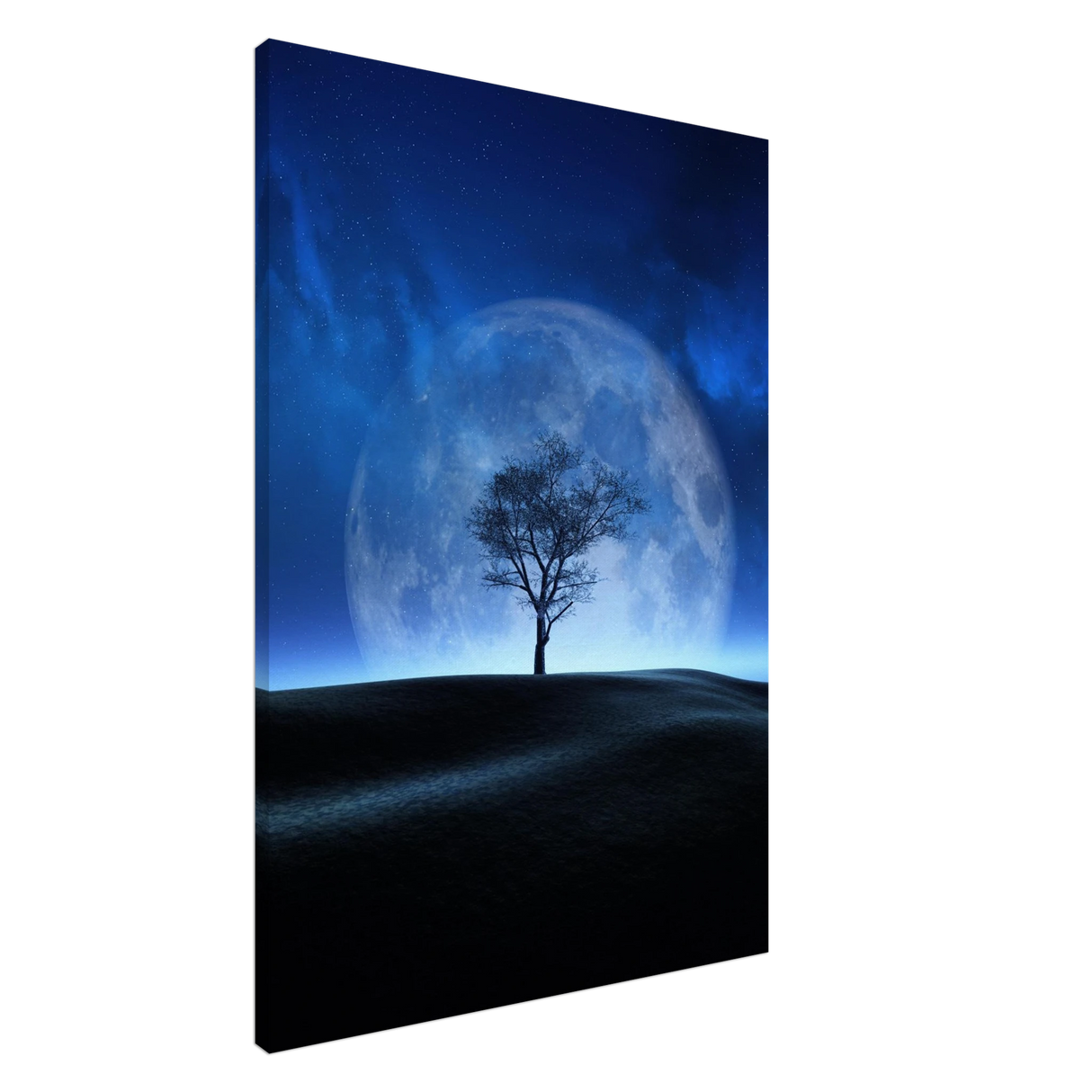 lunar silence a moonlit whisper in the night dreamy digital fantasy landscape wall art print20x30 cm / 8x12″Acrylic Print