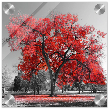 crimson crown monochrome autumn elegance wall art print20x20 cm / 8x8″Canvas