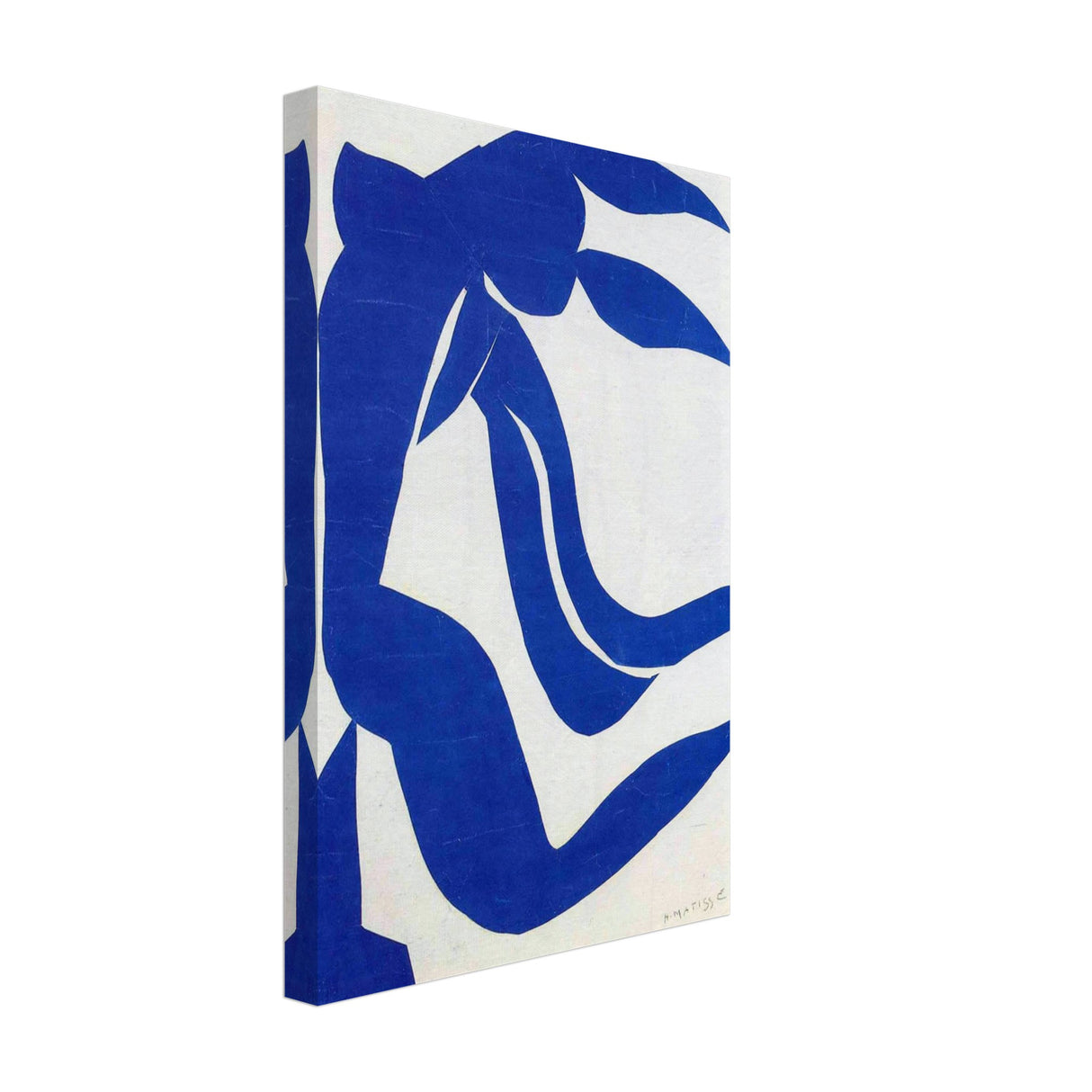 the flowing hair by henri matisse 1952
