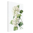 da vinci nature wall art floral