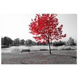 5a9fb384-fca0-4789-9ce7-bc9d754264cb