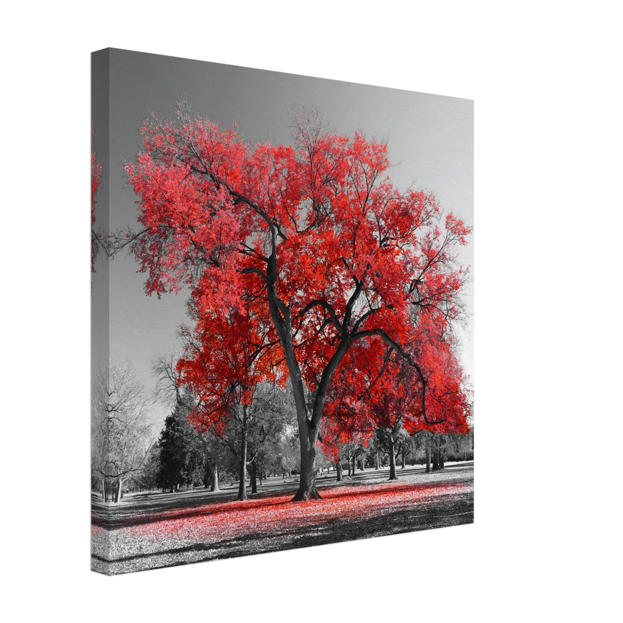 crimson crown monochrome autumn elegance wall art print20x20 cm / 8x8″Acrylic Print