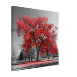 crimson crown monochrome autumn elegance wall art print20x20 cm / 8x8″Acrylic Print
