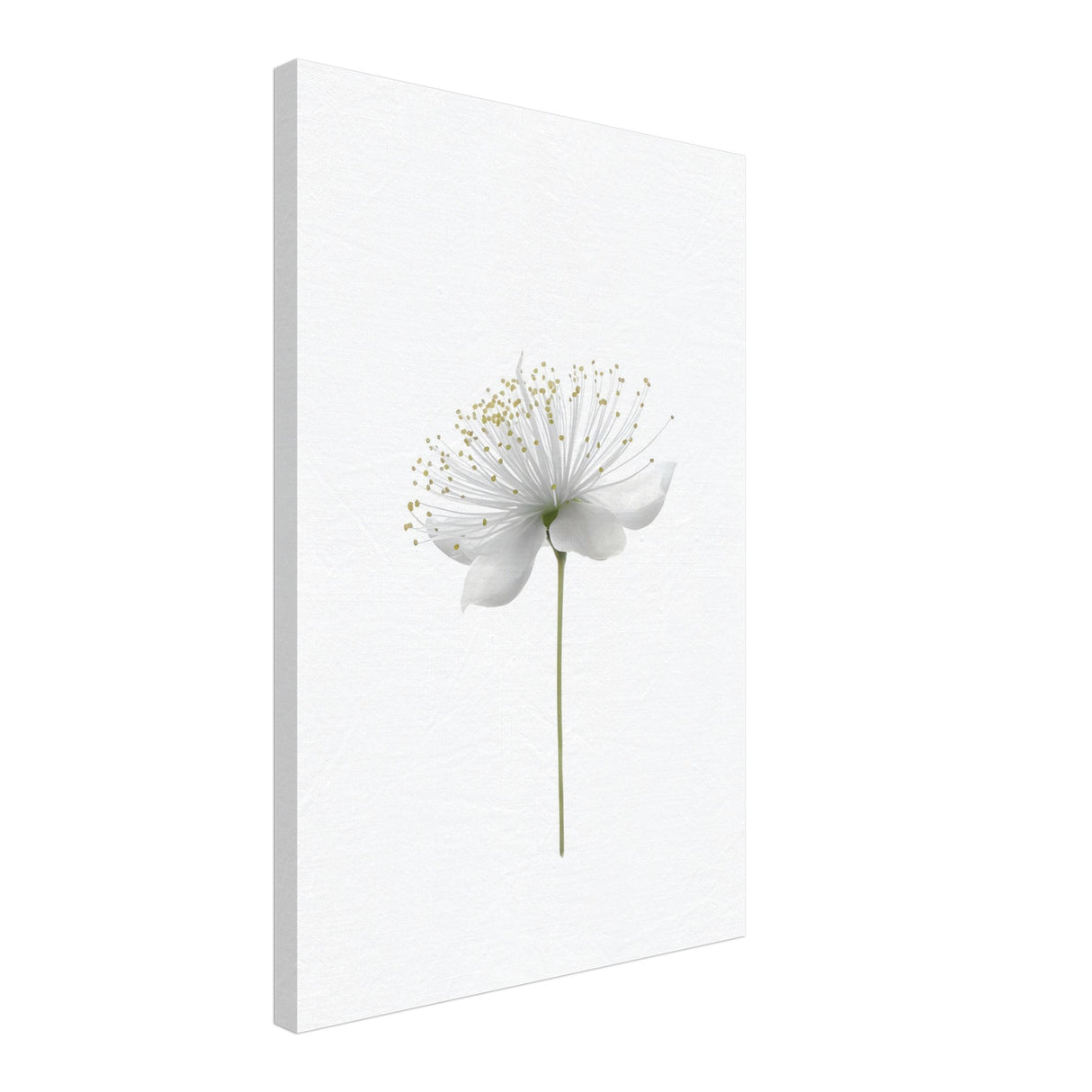 da vinci nature wall art floral 1