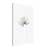 da vinci nature wall art floral 1
