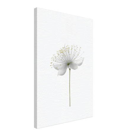 da vinci nature wall art floral 1