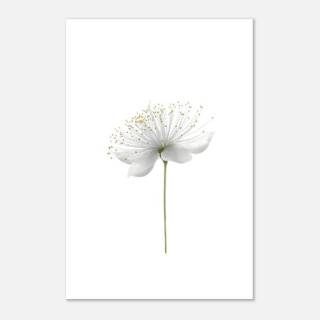 da vinci nature wall art floral 1