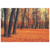 golden silence in autumn a tranquil forest escape wall art print70x100 cm / 28x40″Fine Art Poster
