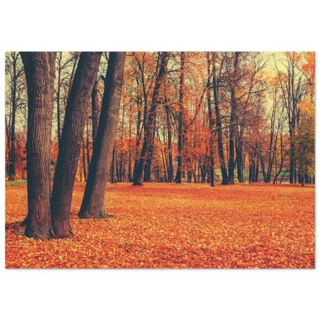 golden silence in autumn a tranquil forest escape wall art print70x100 cm / 28x40″Fine Art Poster