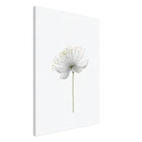 da vinci nature wall art floral 1