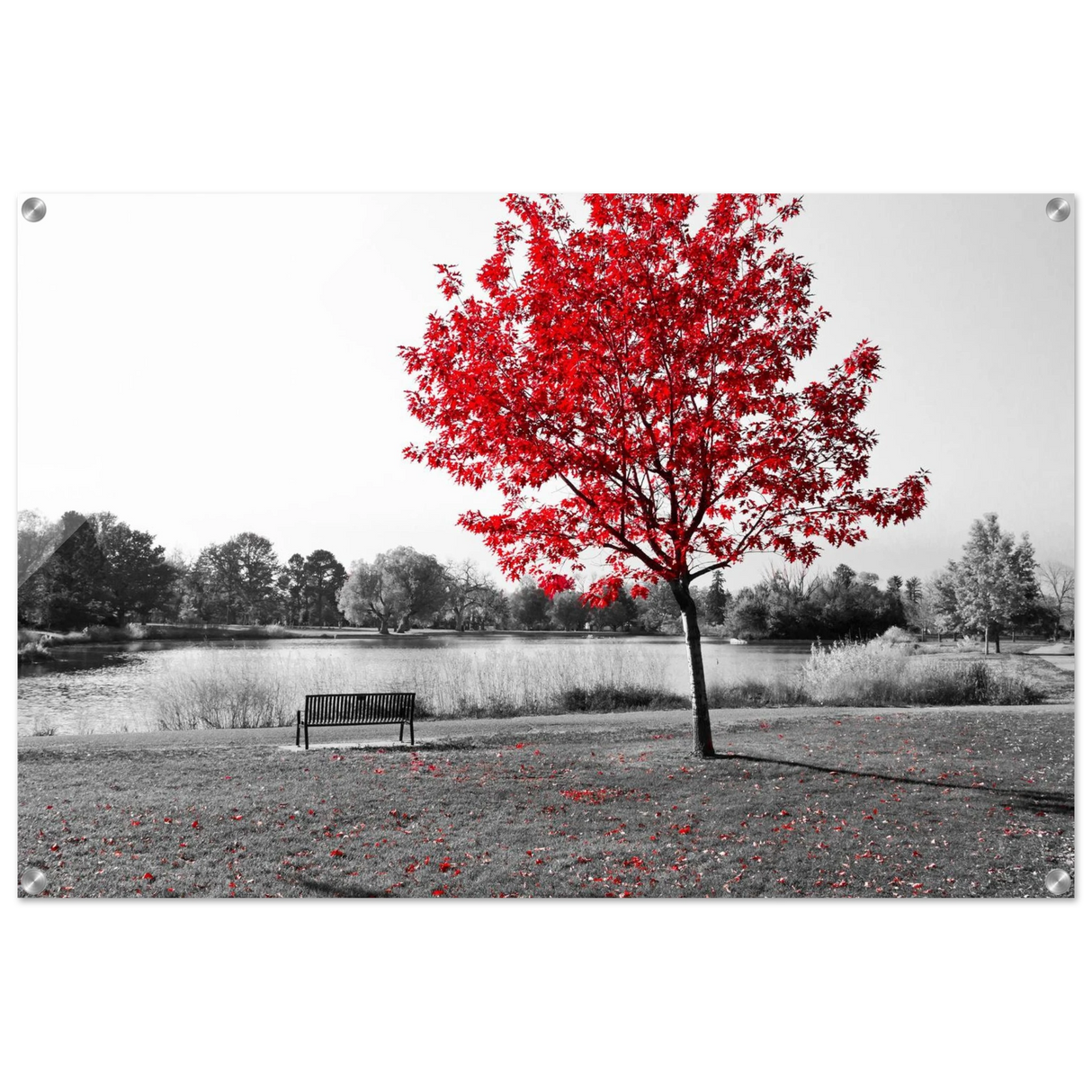 63b61f6f-d422-418c-b062-15a84df8bcb4
