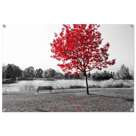 63b61f6f-d422-418c-b062-15a84df8bcb4