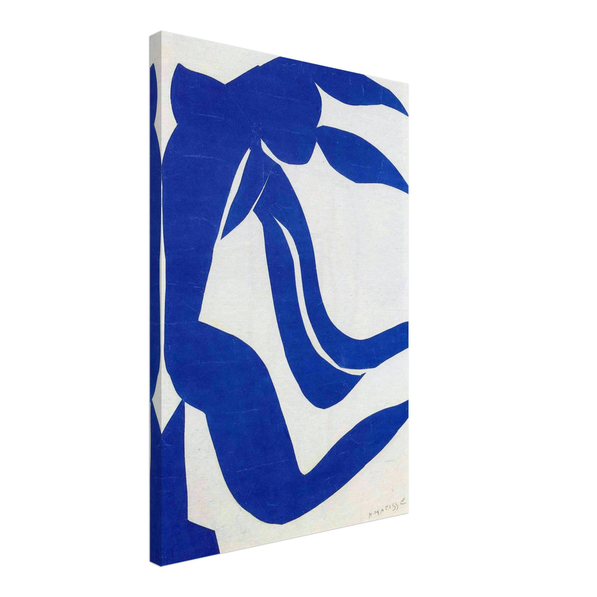 the flowing hair by henri matisse 1952