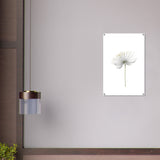 da vinci nature wall art floral 1