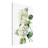 da vinci nature wall art floral