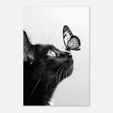  animal kingdom wall art cat butterfly