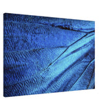  wall art blue butterfly wing