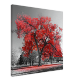 crimson crown monochrome autumn elegance wall art print30x30 cm / 12x12″Wood Prints