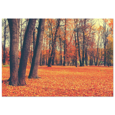 golden silence in autumn a tranquil forest escape wall art print20x30 cm / 8x12″Aluminum Print