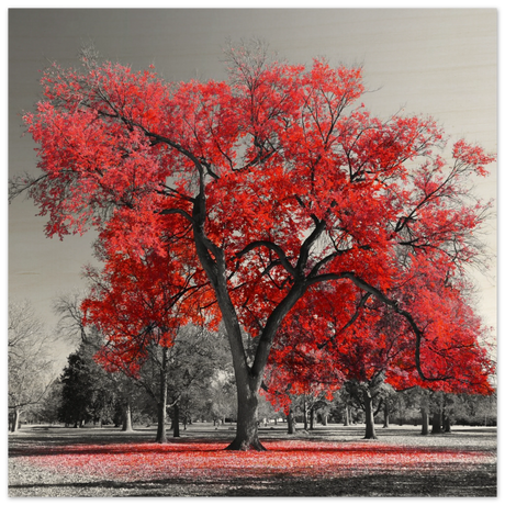 crimson crown monochrome autumn elegance wall art print30x30 cm / 12x12″Brushed Aluminum Print
