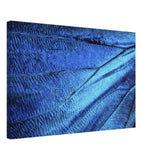  wall art blue butterfly wing