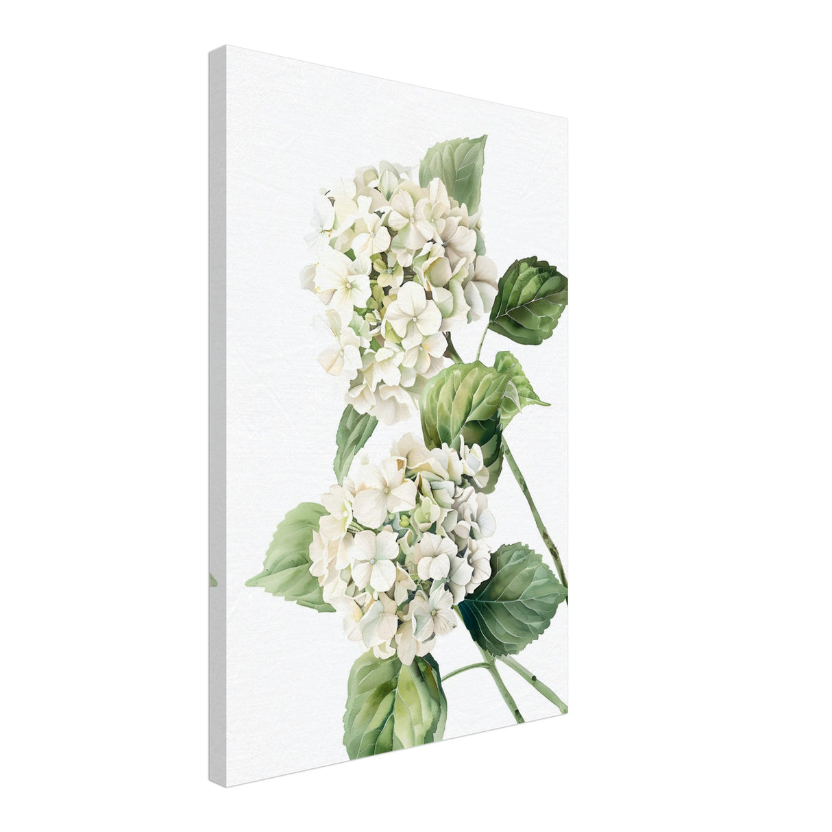da vinci nature wall art floral