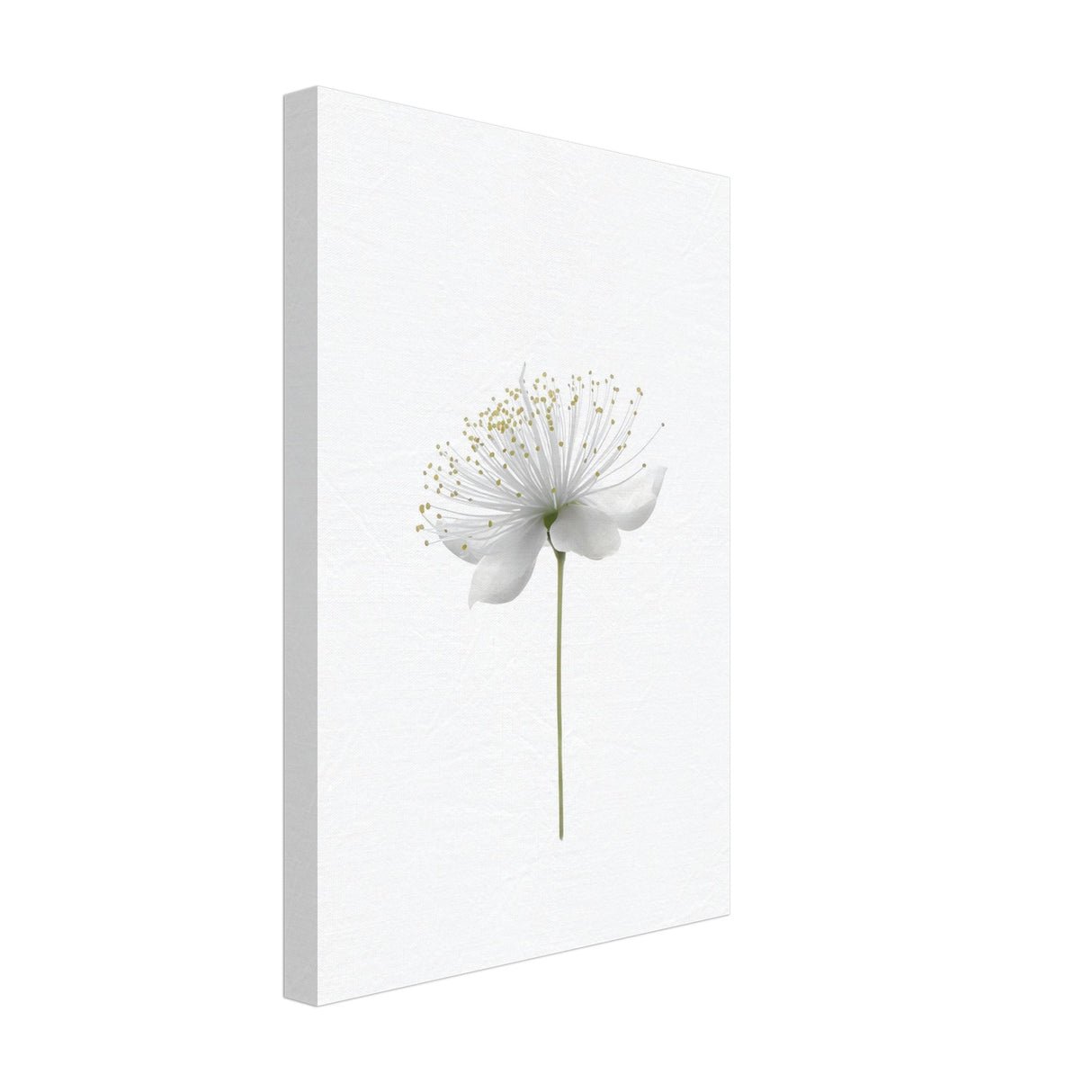 da vinci nature wall art floral 1
