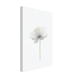 da vinci nature wall art floral 1