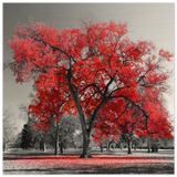 crimson crown monochrome autumn elegance wall art print40x40 cm / 16x16″Fine Art Poster