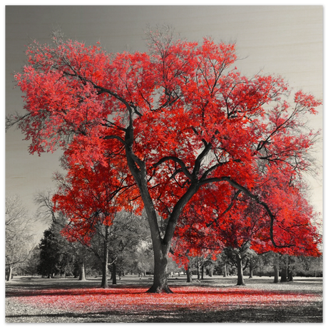 crimson crown monochrome autumn elegance wall art print40x40 cm / 16x16″Fine Art Poster