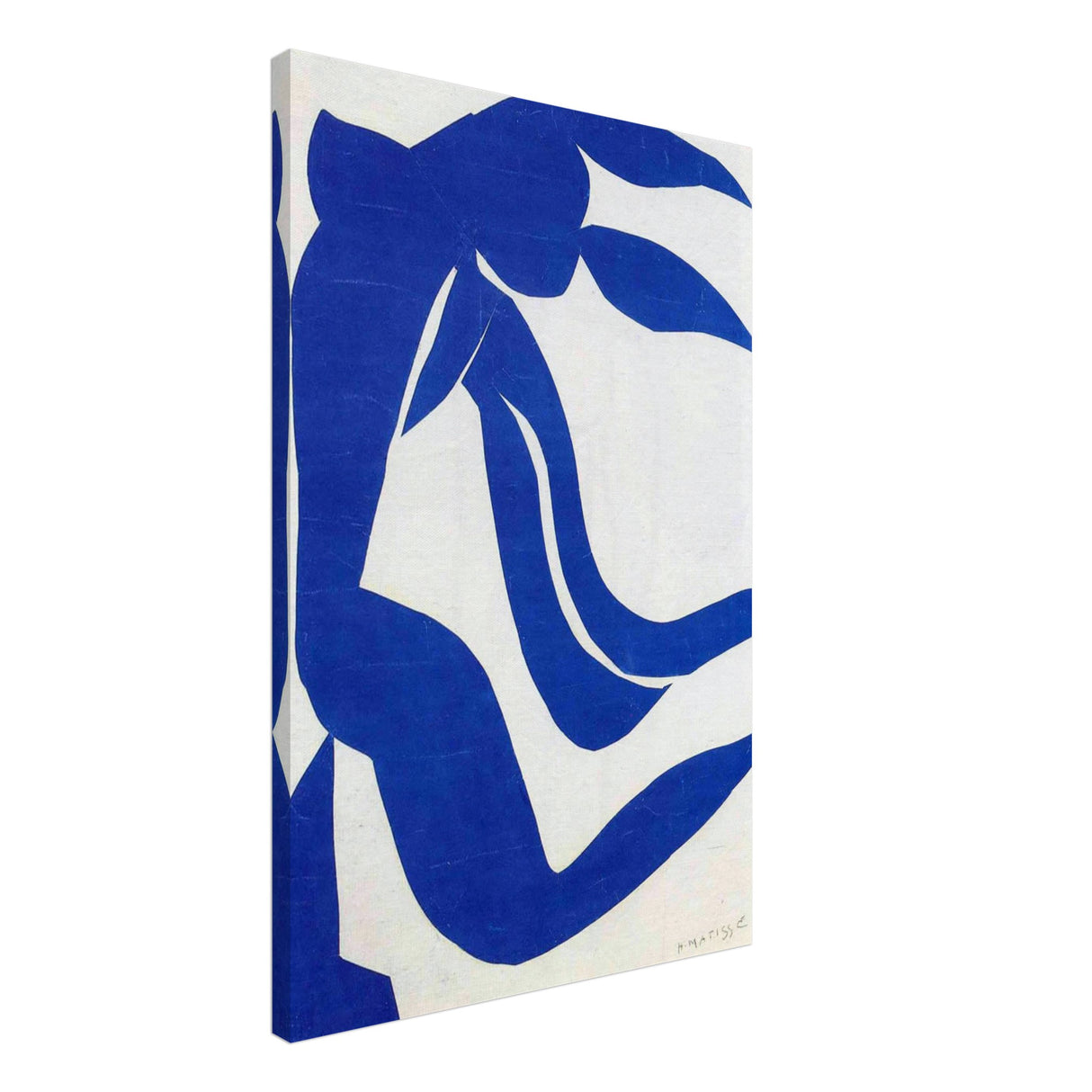 the flowing hair by henri matisse 1952