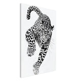  nature wall art wildlife leopard