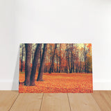 golden silence in autumn a tranquil forest escape wall art print60x90 cm / 24x36″Brushed Aluminum Print