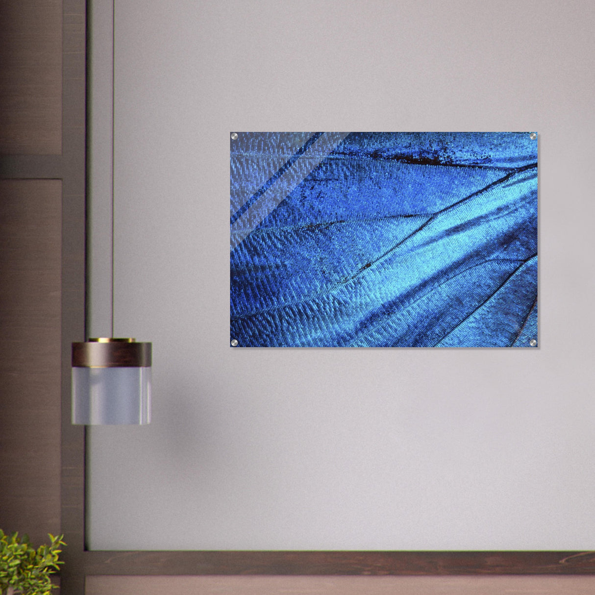  wall art blue butterfly wing