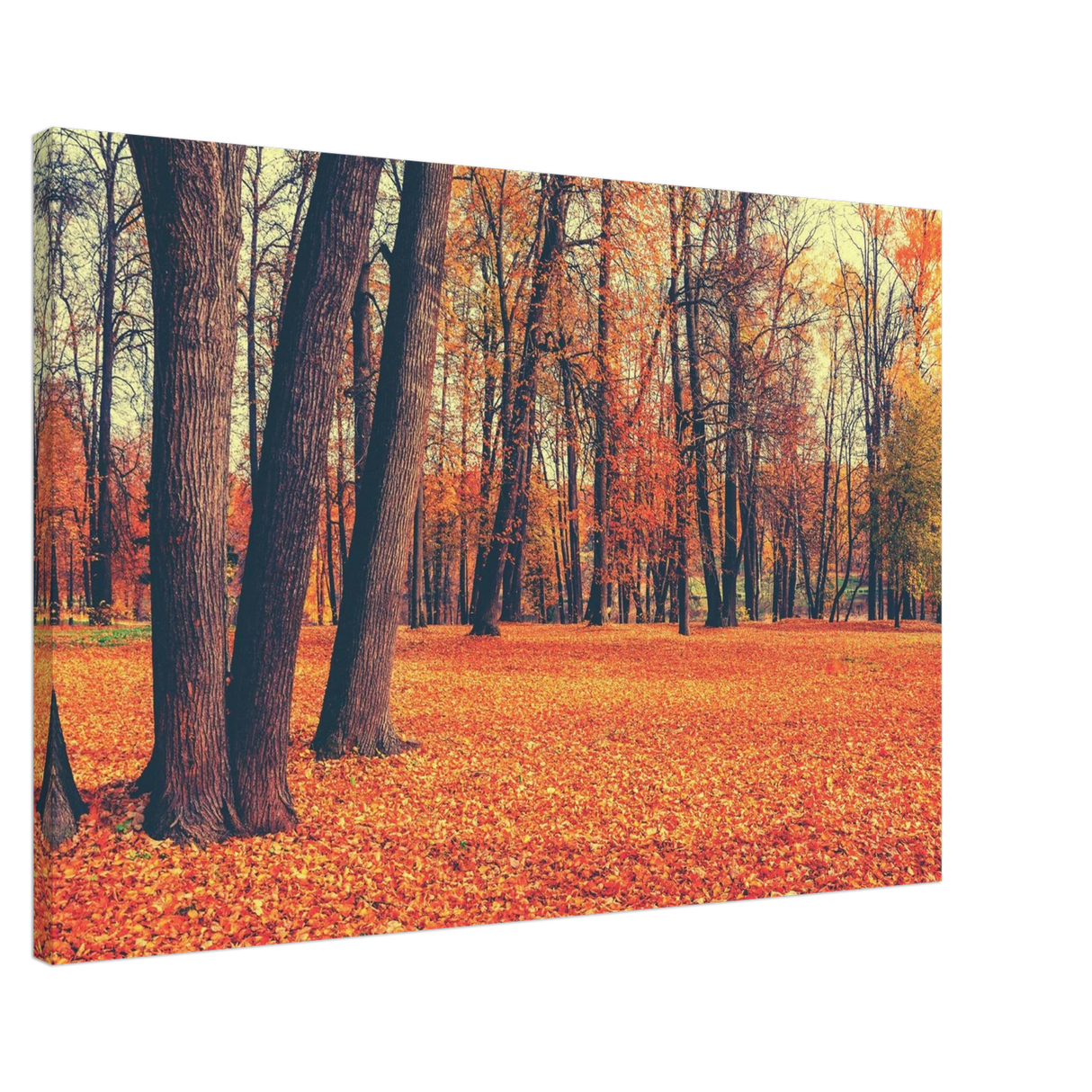 golden silence in autumn a tranquil forest escape wall art print40x60 cm / 16x24″Framed Canvas