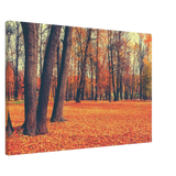 golden silence in autumn a tranquil forest escape wall art print40x60 cm / 16x24″Framed Canvas