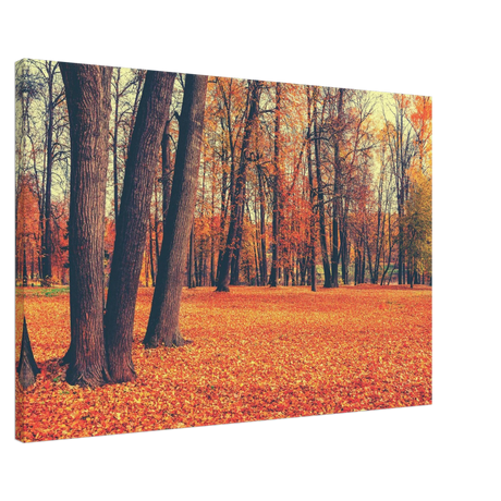 golden silence in autumn a tranquil forest escape wall art print40x60 cm / 16x24″Framed Canvas