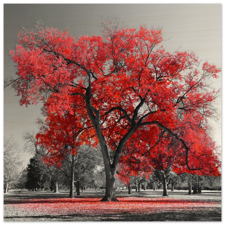 crimson crown monochrome autumn elegance wall art print60x60 cm / 24x24″Framed Canvas
