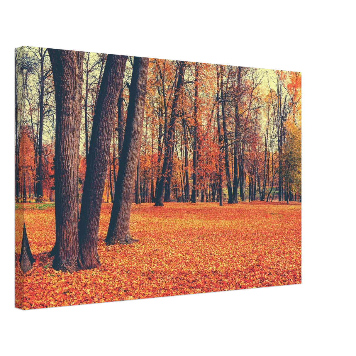 golden silence in autumn a tranquil forest escape wall art print40x60 cm / 16x24″Framed Canvas