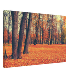 golden silence in autumn a tranquil forest escape wall art print40x60 cm / 16x24″Framed Canvas