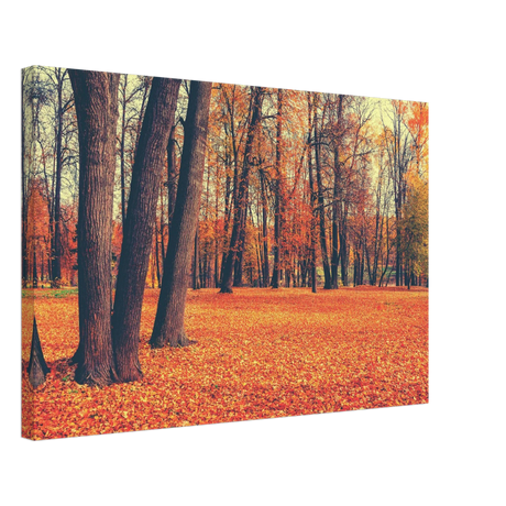 golden silence in autumn a tranquil forest escape wall art print40x60 cm / 16x24″Framed Canvas