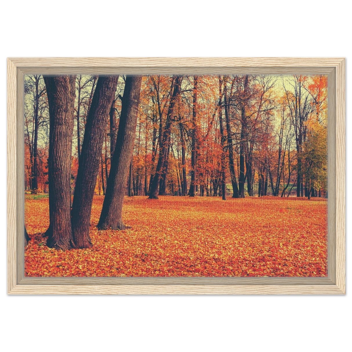 golden silence in autumn a tranquil forest escape wall art print20x30 cm / 8x12″Framed Canvas