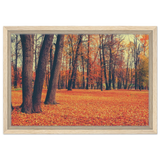 golden silence in autumn a tranquil forest escape wall art print20x30 cm / 8x12″Framed Canvas
