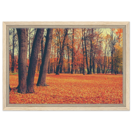 golden silence in autumn a tranquil forest escape wall art print20x30 cm / 8x12″Framed Canvas
