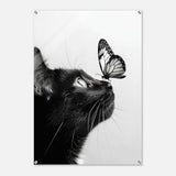  animal kingdom wall art cat butterfly