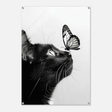  animal kingdom wall art cat butterfly
